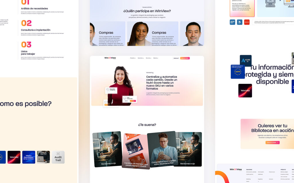 Vista de detalle de un proyecto de Diseño Web